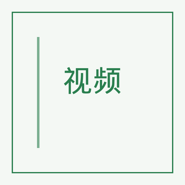视窗缩略图