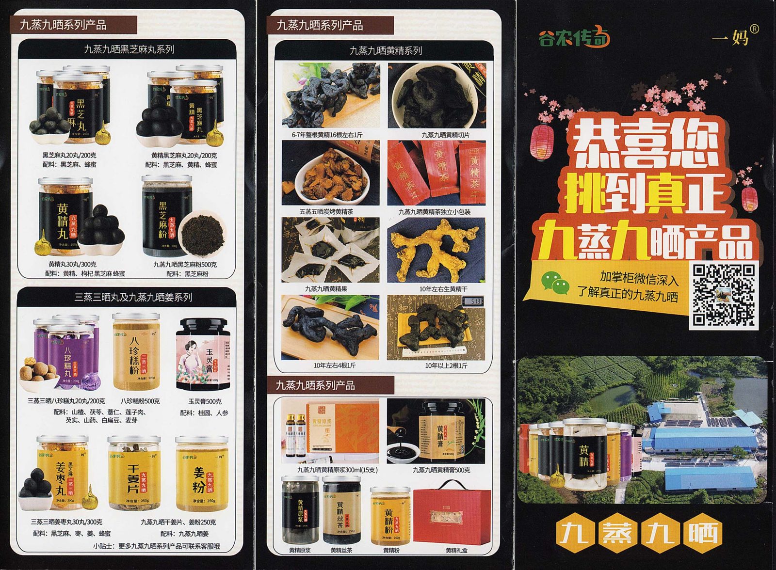 九蒸九晒宣传册（案例）
