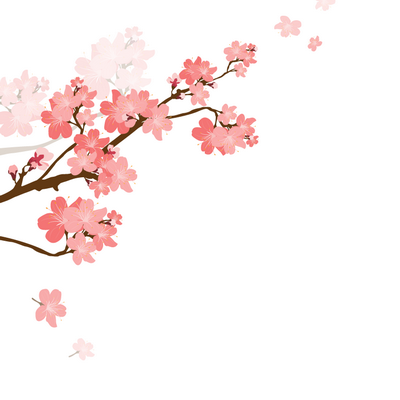 樱花素材101