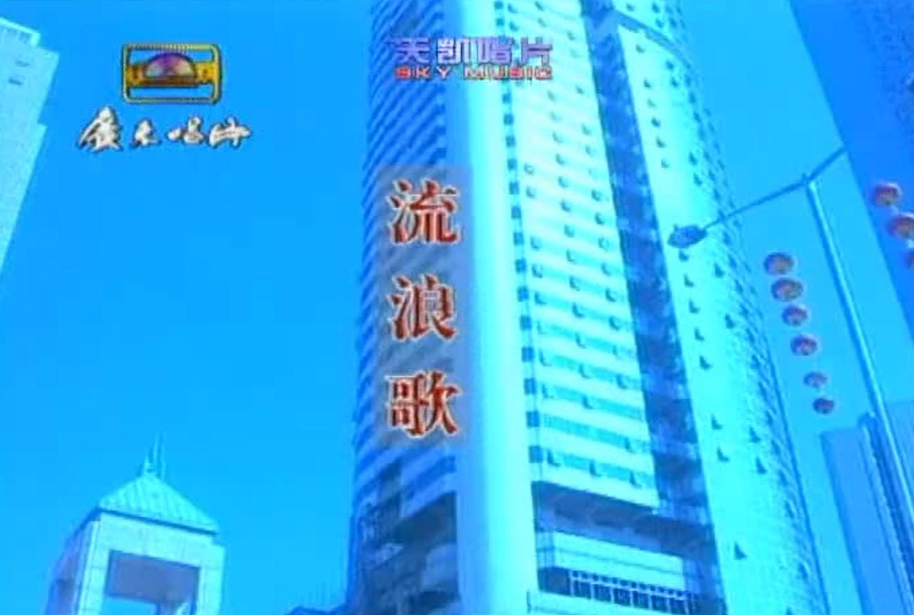 陈星 - 流浪歌
