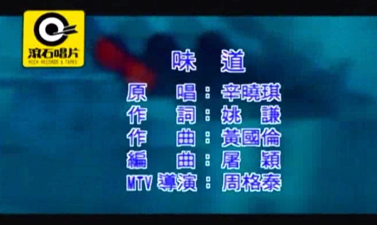 辛晓琪 - 味道