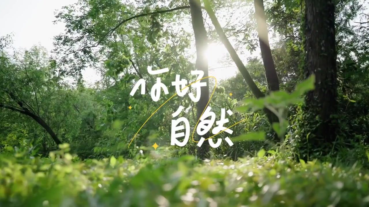 听见自然