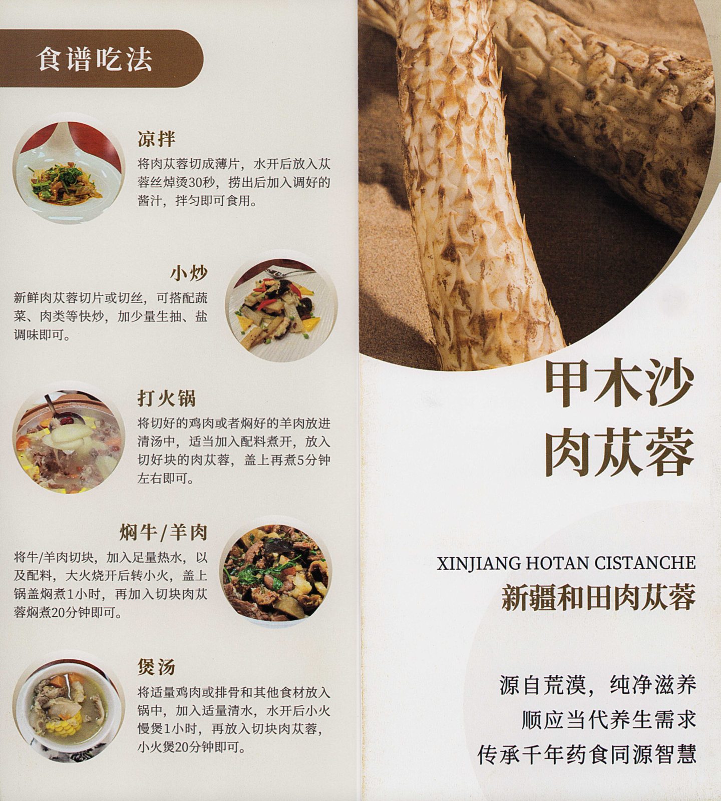 肉苁蓉宣传册（案例）