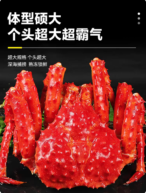 帝王蟹冰鲜海鲜水产（案例）