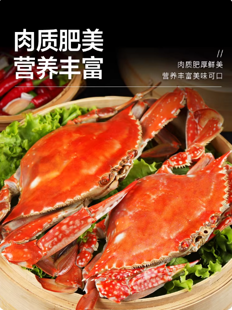 梭子蟹兰花蟹冷冻海鲜（案例）