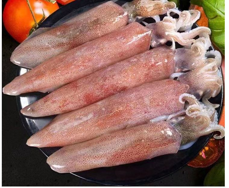 冰鲜鱿鱼筒（案例）