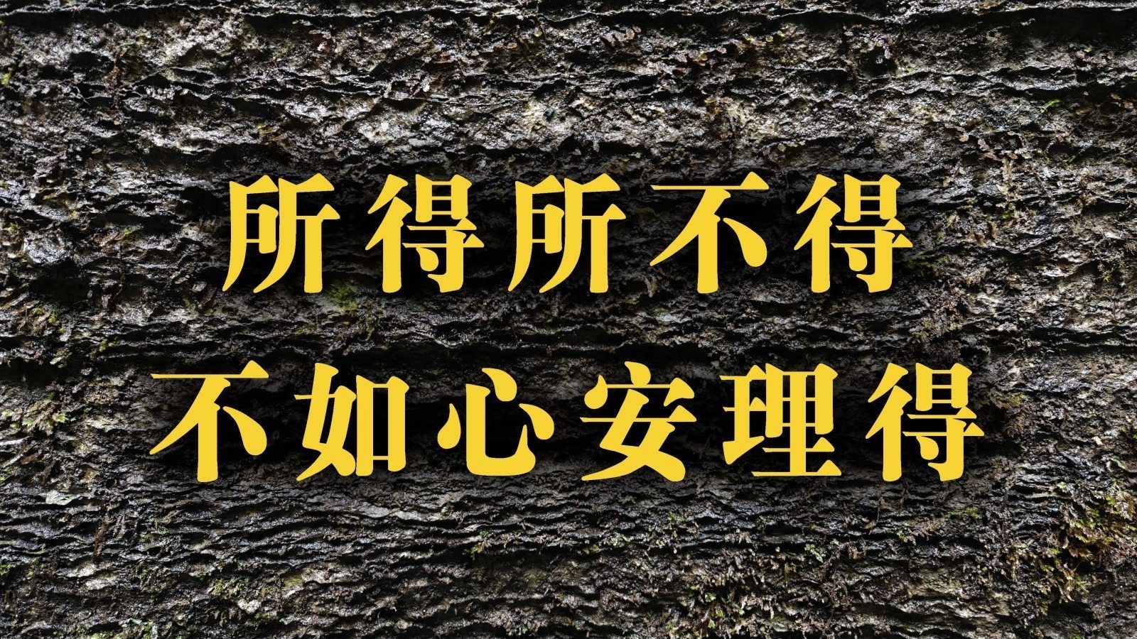 所得所不得