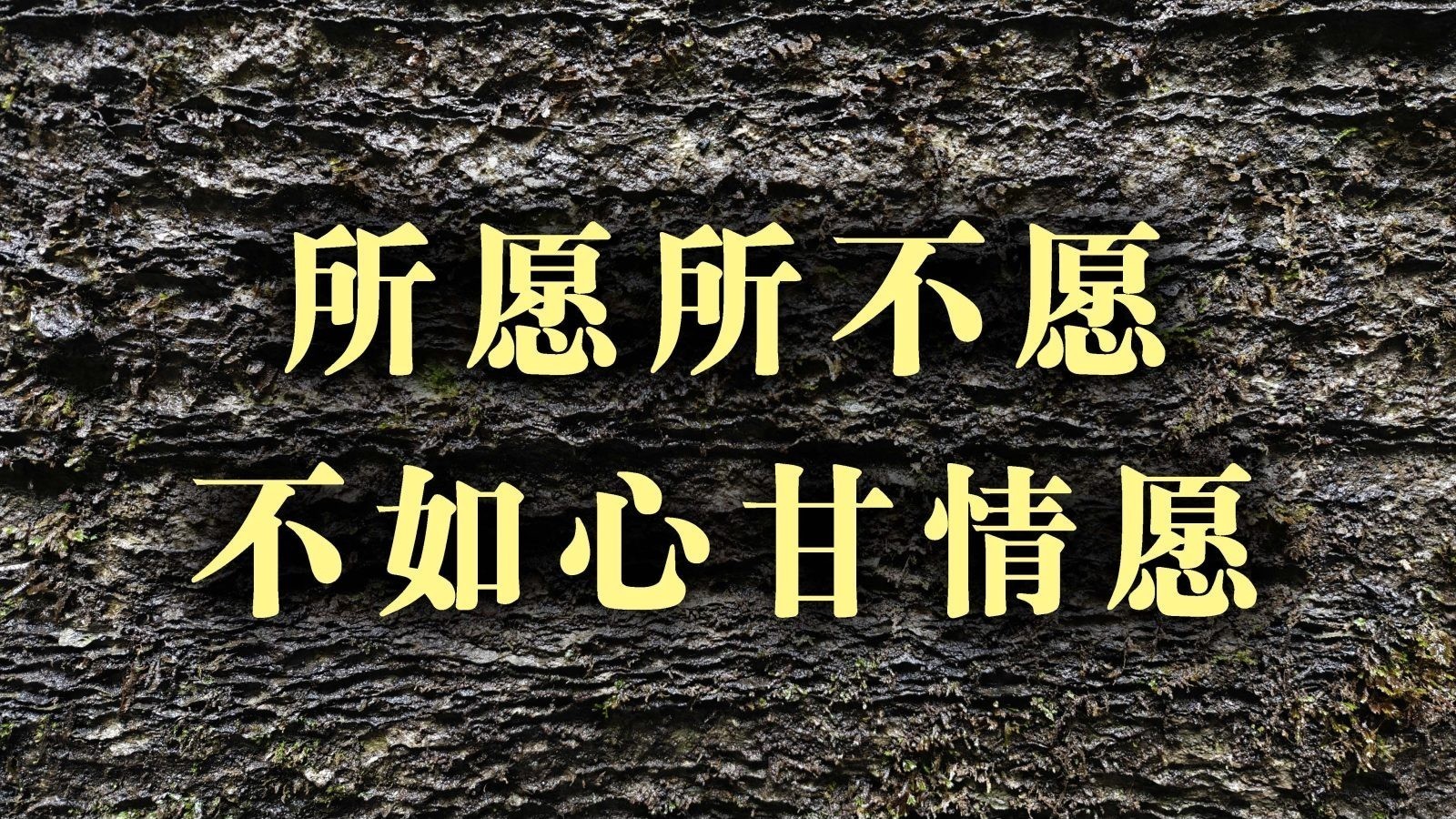 所愿所不愿不如心甘情愿