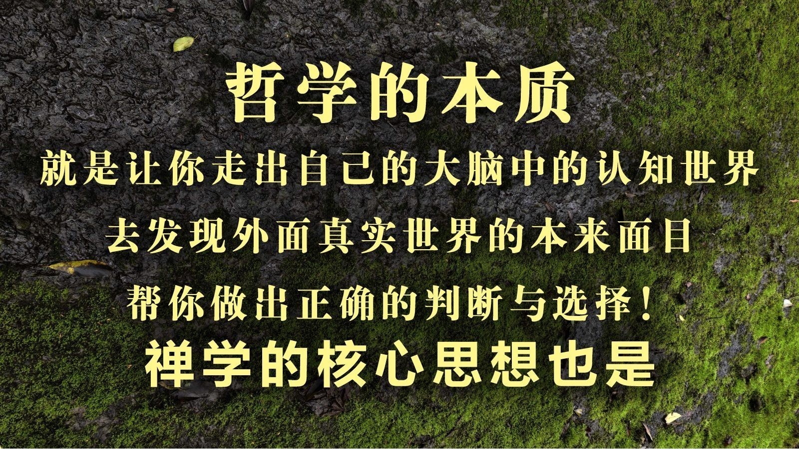 哲学的本质
