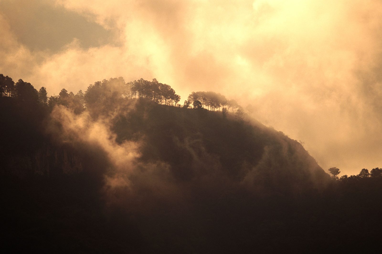 梦幻天景22