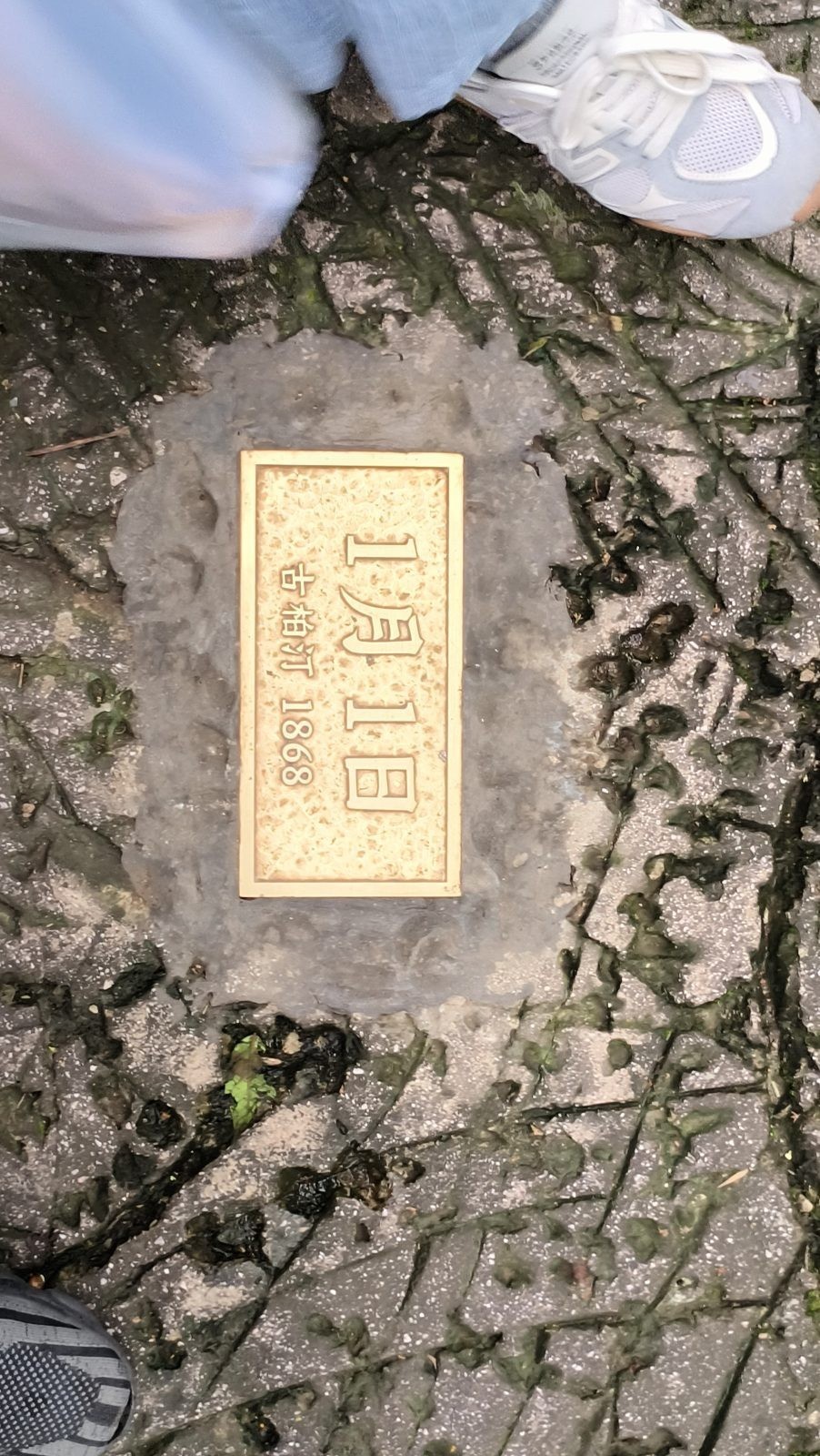 星步素材