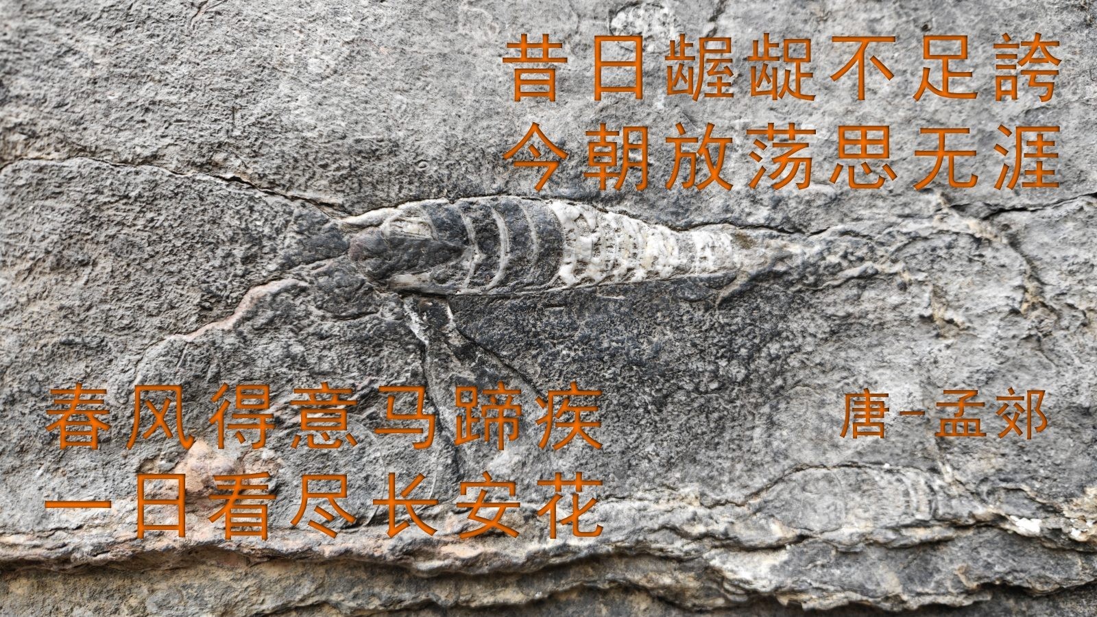 春风得意马蹄疾