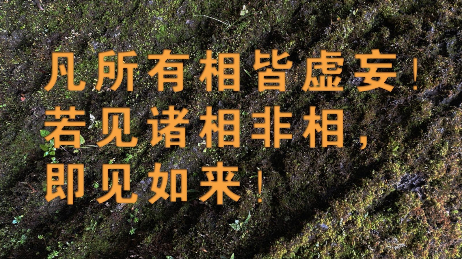 凡所有相皆虚妄