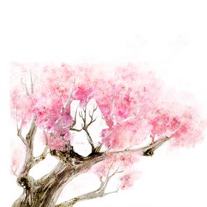 商品图3