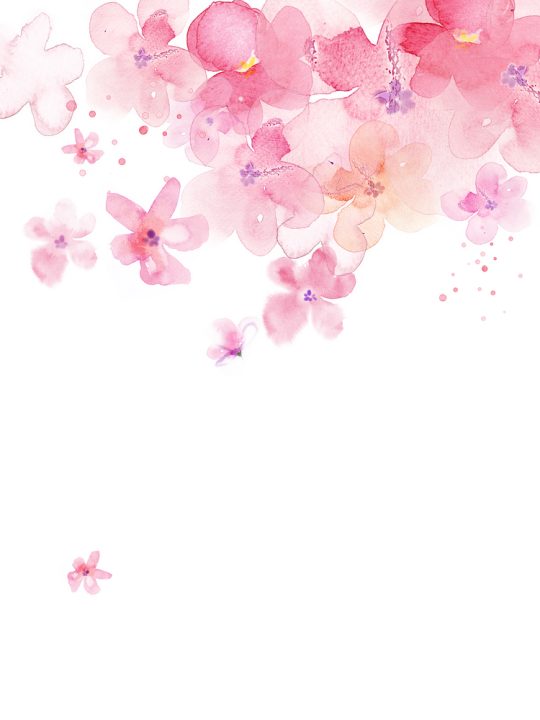 商品图6