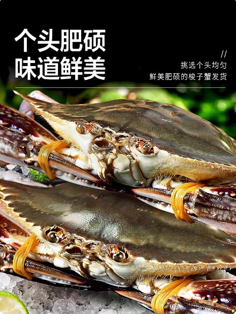 商品图2